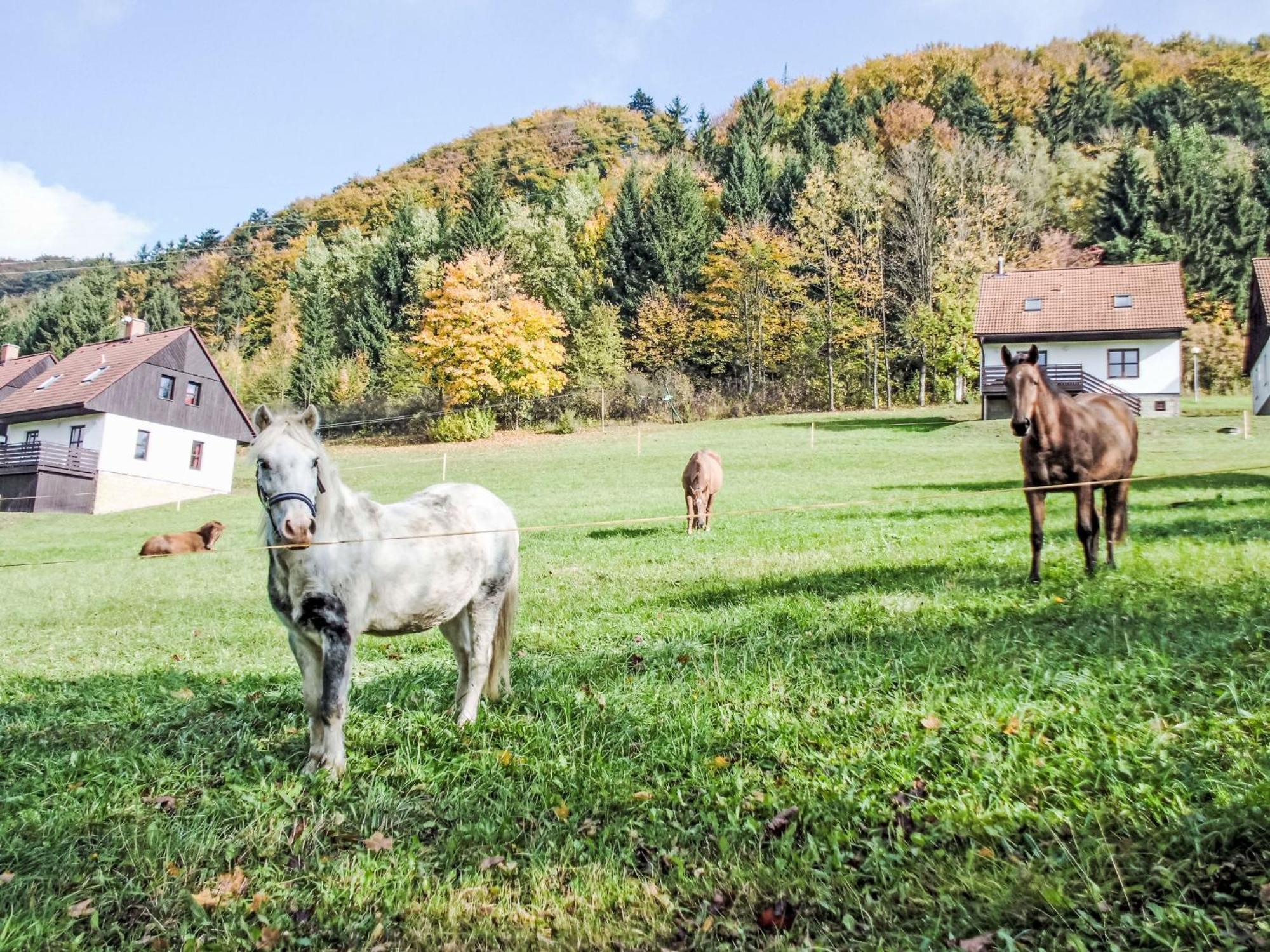 Holiday Home Starkov By Interhome Zewnętrze zdjęcie